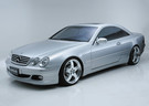 EVA коврики на Mercedes CL (C215) 1998 - 2006 в Воронеже