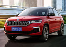 Ворсовые коврики на Skoda Kamiq 2018 - 2024 в Воронеже