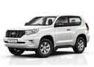 EVA коврики на Toyota Land Cruiser Prado 150 2009 - 2023 в Воронеже