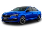 Ворсовые коврики на Skoda Rapid II 2019 - 2024 в Воронеже