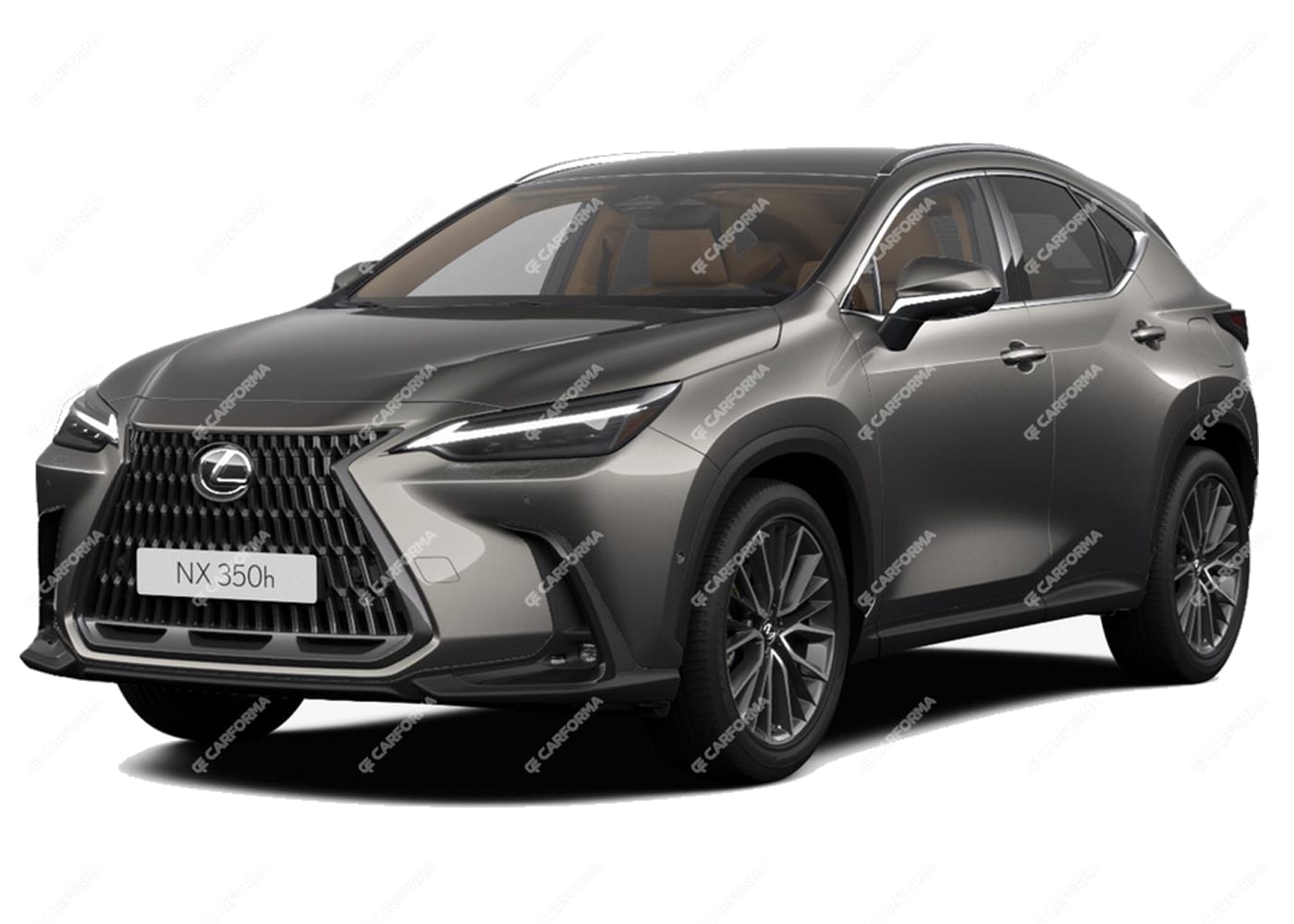 Ворсовые коврики на Lexus NX II 2021 - 2024