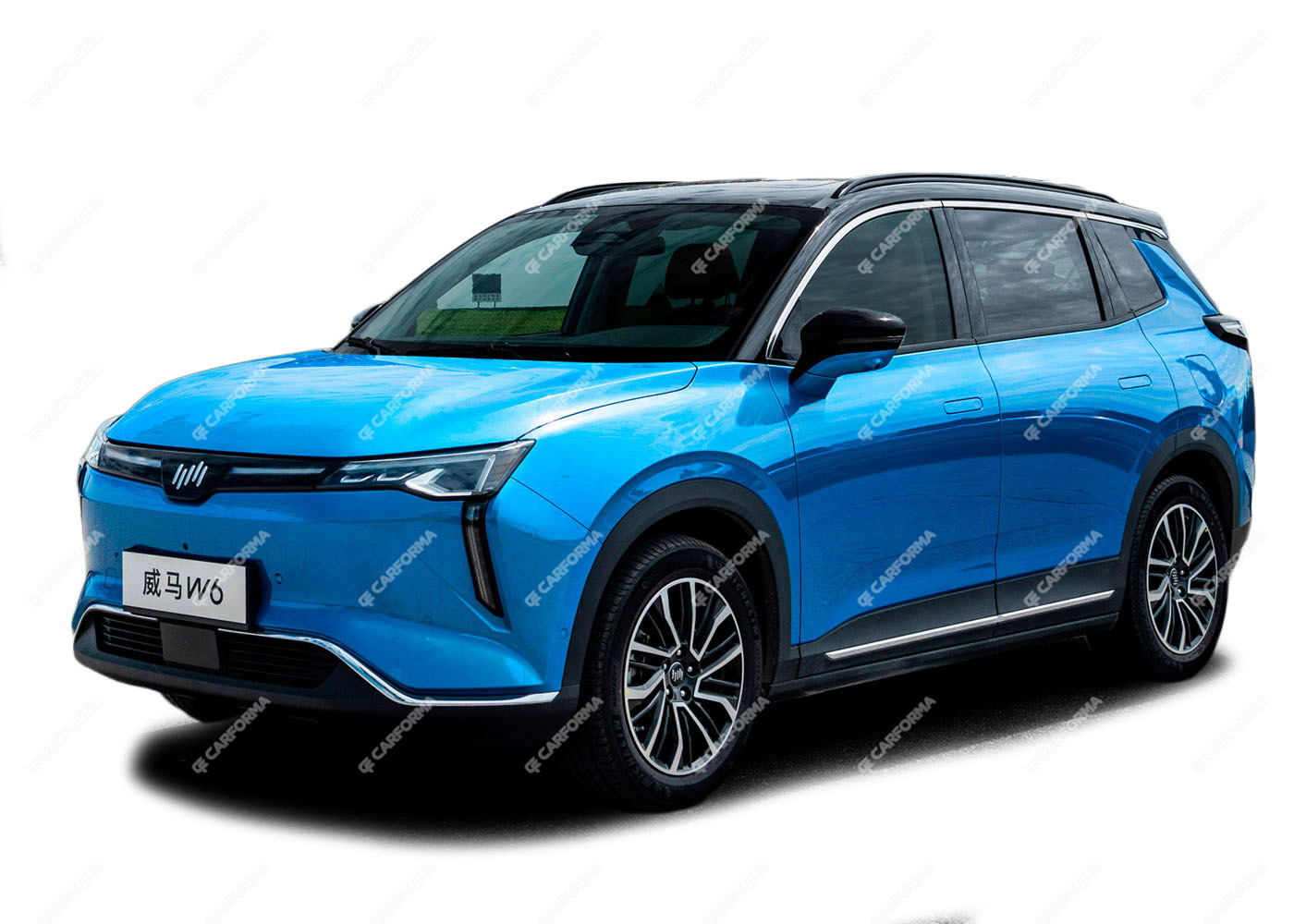 Коврики на Weltmeister W6 2021 - 2022