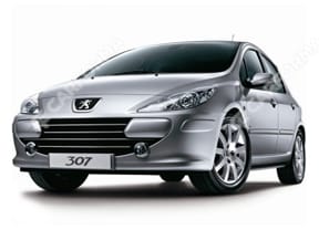 Ворсовые коврики на Peugeot 307 2001 - 2008