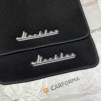 Ворсовые коврики на Москвич 6 2023 - 2025 в Воронеже