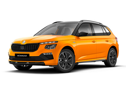 Ворсовые коврики на Skoda Kamiq 2019&nbsp;-&nbsp;2026 в Воронеже