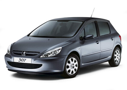 EVA коврики на Peugeot 307 2001 - 2008 в Воронеже