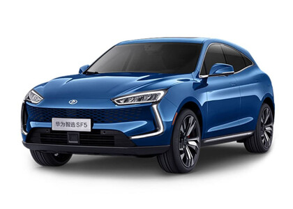 EVA коврики на Seres SF5 2019 - 2022 в Воронеже