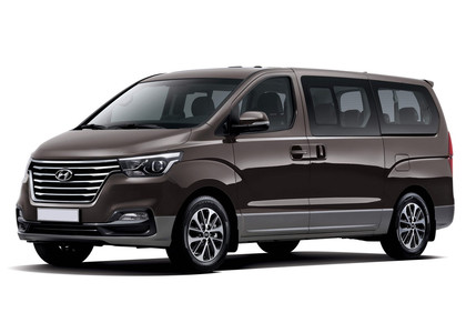 Ворсовые коврики на Hyundai H1 II 2007 - 2022 в Воронеже Ворсовые коврики на Hyundai H1 II 2007 - 2022 в Воронеже